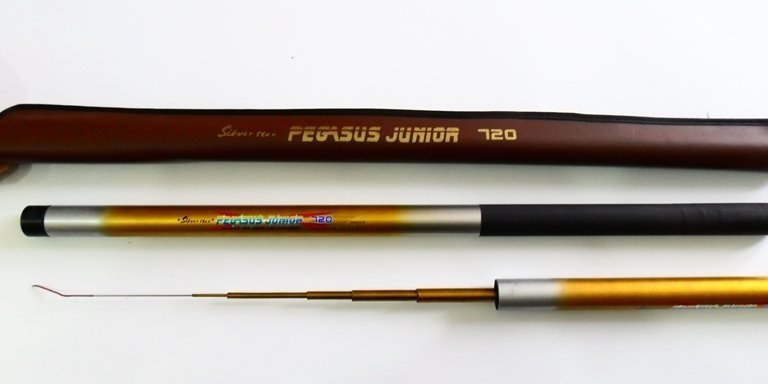 Silverstar Pegasus Junior Göl Kamışı