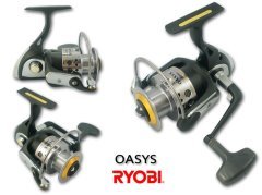 Ryobi Oasys
